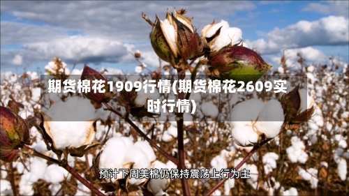 期货棉花1909行情(期货棉花2609实时行情)-第2张图片