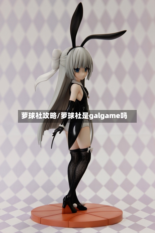 萝球社攻略/萝球社是galgame吗-第2张图片