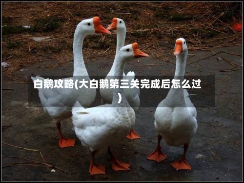 白鹅攻略(大白鹅第三关完成后怎么过)