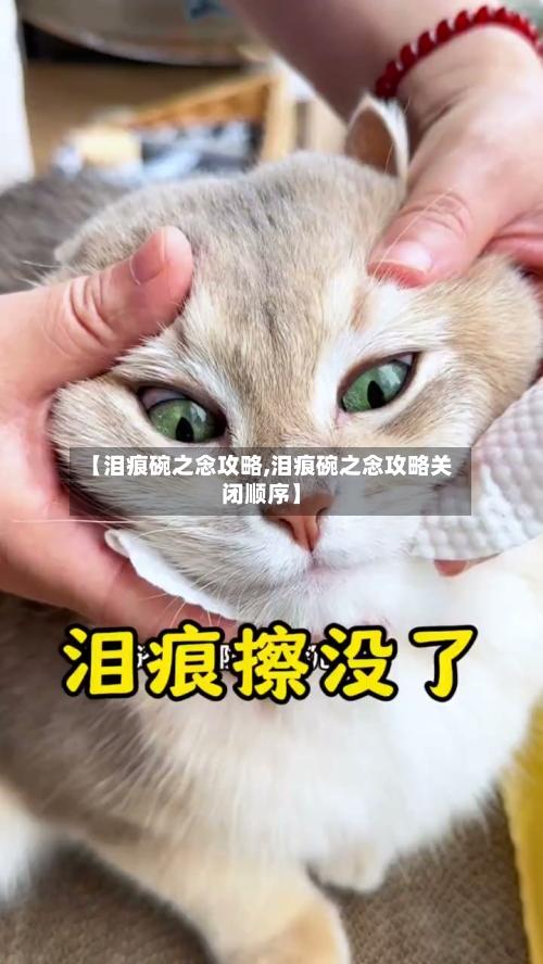 【泪痕碗之念攻略,泪痕碗之念攻略关闭顺序】-第2张图片