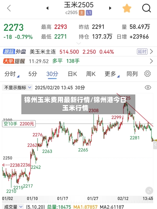 锦州玉米费用最新行情/锦州港今日玉米行情-第2张图片