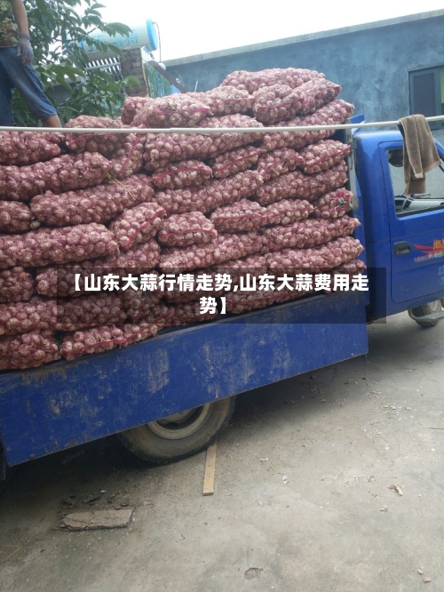 【山东大蒜行情走势,山东大蒜费用走势】-第2张图片