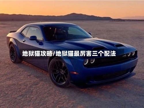 地狱猫攻略/地狱猫最厉害三个配法-第3张图片