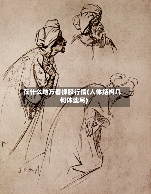 在什么地方看橡胶行情(人体结构几何体速写)