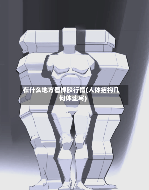 在什么地方看橡胶行情(人体结构几何体速写)-第2张图片