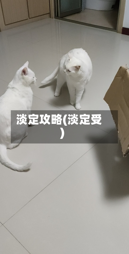 淡定攻略(淡定受)