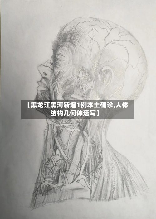 【黑龙江黑河新增1例本土确诊,人体结构几何体速写】-第2张图片