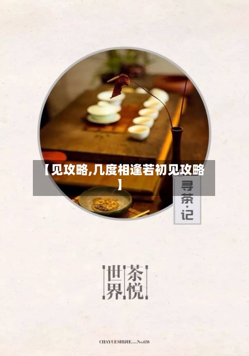 【见攻略,几度相逢若初见攻略】