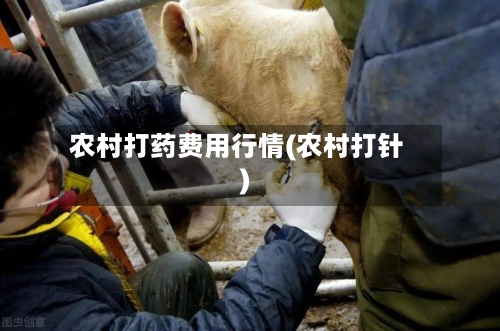 农村打药费用行情(农村打针)-第2张图片