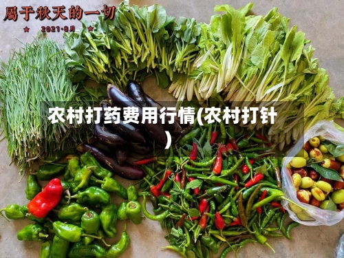 农村打药费用行情(农村打针)