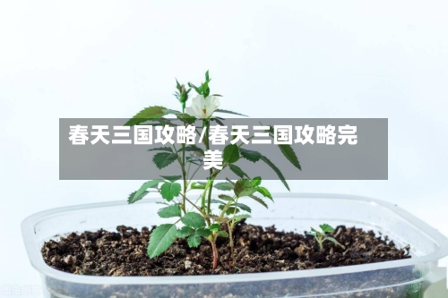 春天三国攻略/春天三国攻略完美-第3张图片