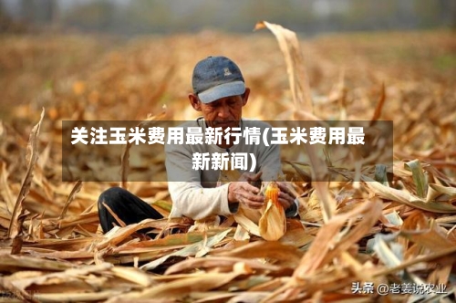 关注玉米费用最新行情(玉米费用最新新闻)