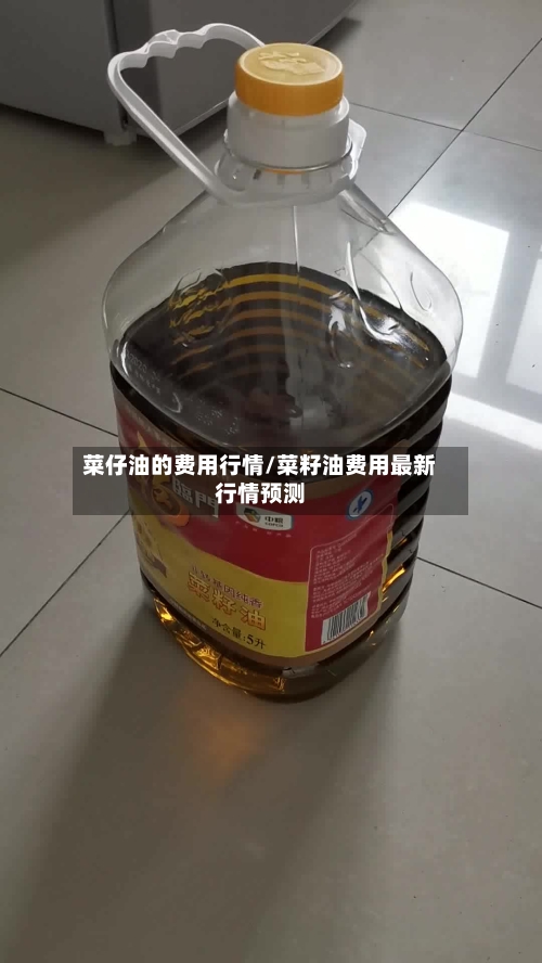 菜仔油的费用行情/菜籽油费用最新行情预测-第2张图片