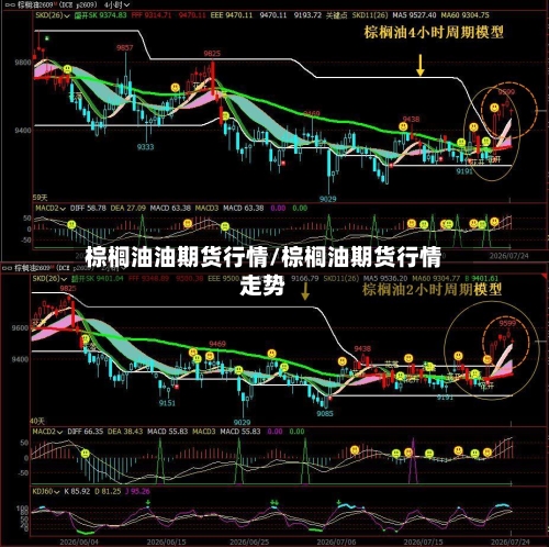 棕榈油油期货行情/棕榈油期货行情走势