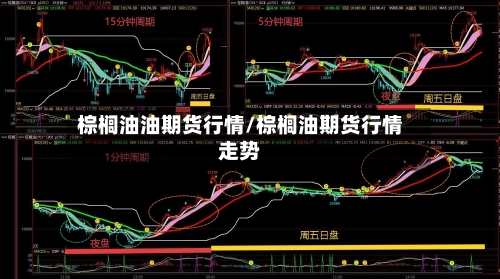 棕榈油油期货行情/棕榈油期货行情走势-第3张图片