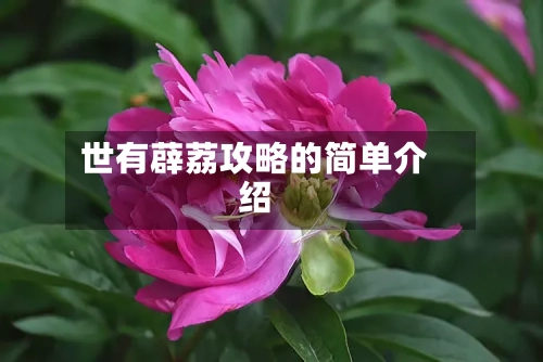 世有薜荔攻略的简单介绍