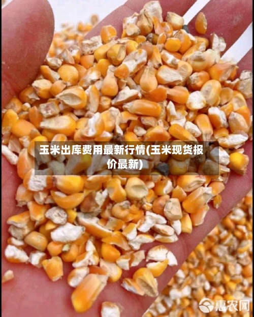 玉米出库费用最新行情(玉米现货报价最新)