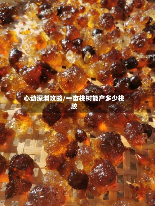心动深渊攻略/一亩桃树能产多少桃胶-第2张图片
