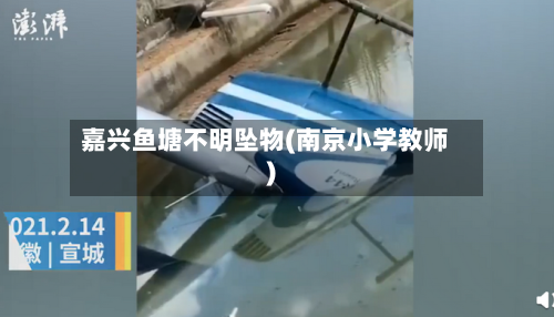 嘉兴鱼塘不明坠物(南京小学教师)