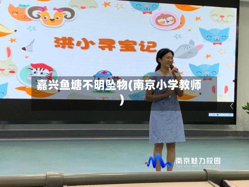 嘉兴鱼塘不明坠物(南京小学教师)-第2张图片