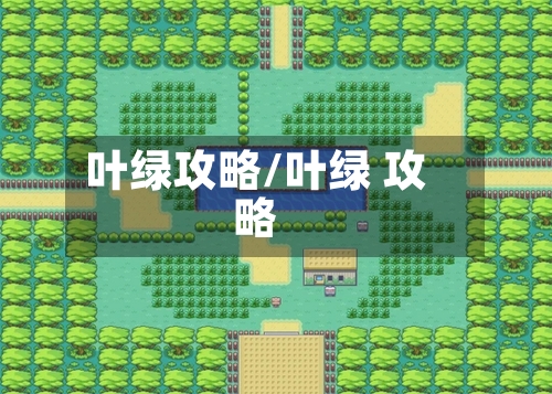 叶绿攻略/叶绿 攻略