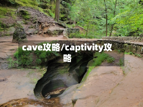cave攻略/captivity攻略