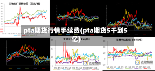 pta期货行情手续费(pta期货5千到5亿)-第2张图片