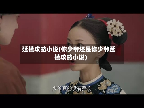 延禧攻略小说(你少爷还是你少爷延禧攻略小说)-第2张图片