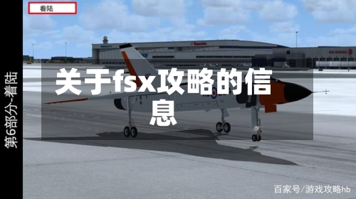 关于fsx攻略的信息-第3张图片