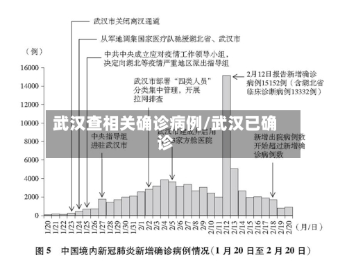 武汉查相关确诊病例/武汉已确诊