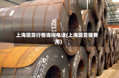 上海现货行情询问电话(上海现货铑费用)