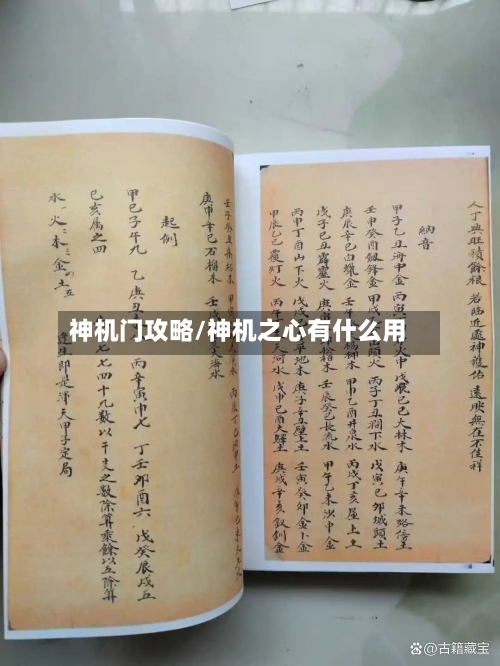 神机门攻略/神机之心有什么用