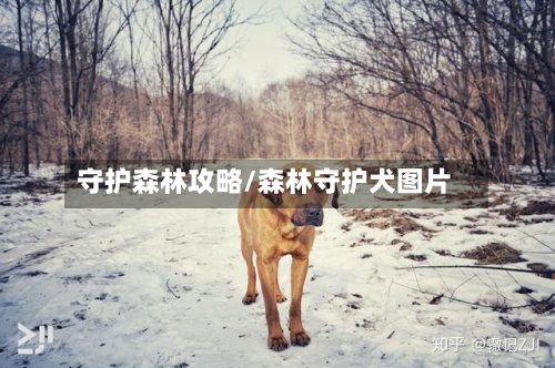 守护森林攻略/森林守护犬图片