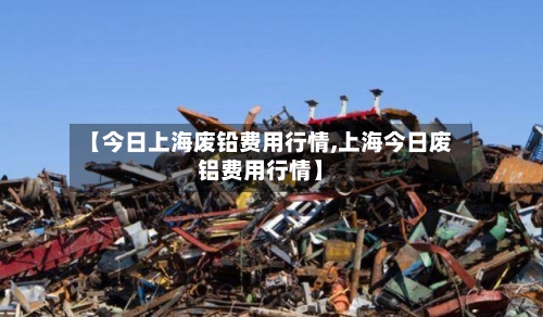【今日上海废铅费用行情,上海今日废铝费用行情】