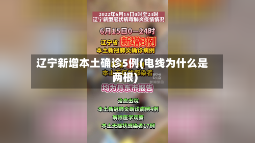 辽宁新增本土确诊5例(电线为什么是两根)
