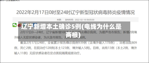 辽宁新增本土确诊5例(电线为什么是两根)-第2张图片