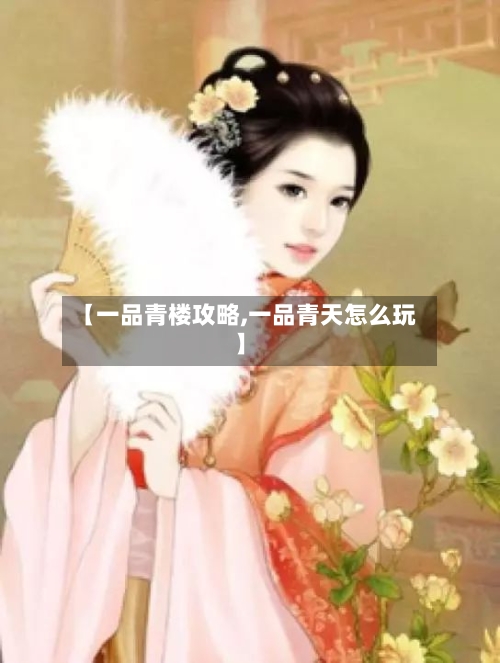【一品青楼攻略,一品青天怎么玩】-第3张图片