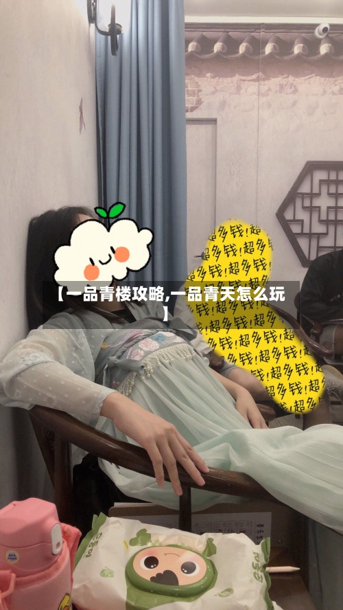 【一品青楼攻略,一品青天怎么玩】-第2张图片