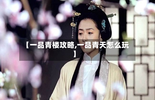 【一品青楼攻略,一品青天怎么玩】
