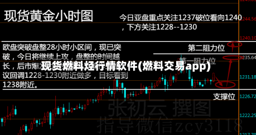 现货燃料烃行情软件(燃料交易app)