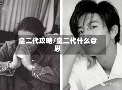 皇二代攻略/皇二代什么意思