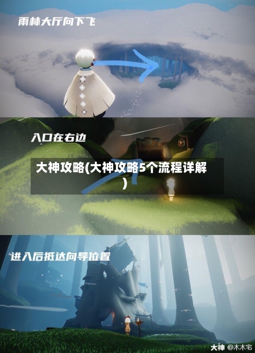 大神攻略(大神攻略5个流程详解)-第3张图片