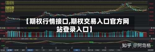 【期权行情接口,期权交易入口官方网站登录入口】