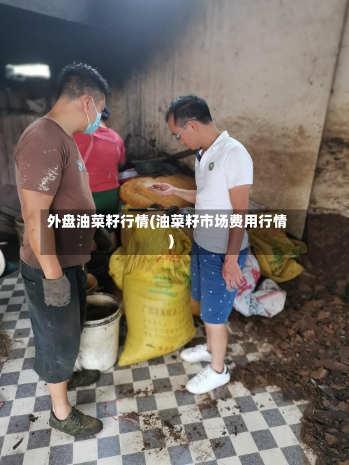 外盘油菜籽行情(油菜籽市场费用行情)