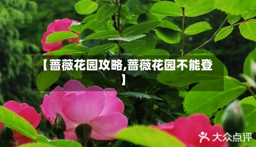 【蔷薇花园攻略,蔷薇花园不能登】