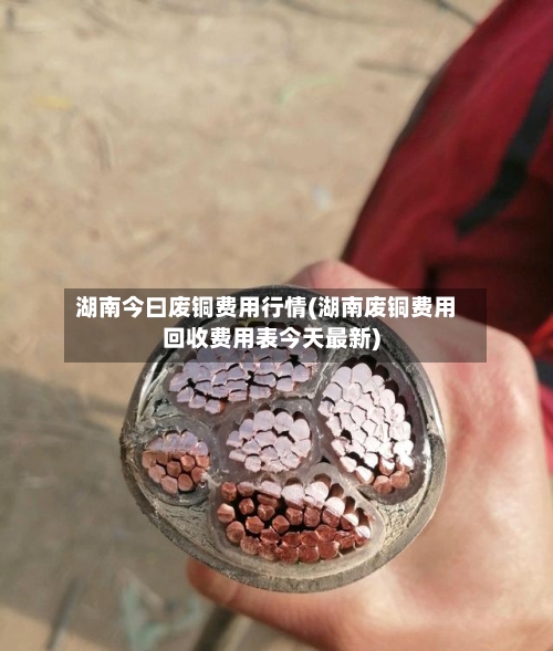 湖南今曰废铜费用行情(湖南废铜费用回收费用表今天最新)-第2张图片