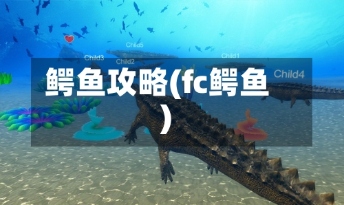 鳄鱼攻略(fc鳄鱼)-第2张图片