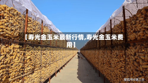 【寿光金玉米最新行情,寿光金玉米费用】
