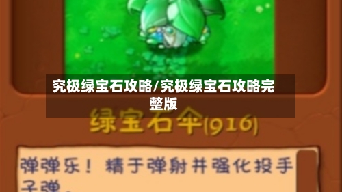 究极绿宝石攻略/究极绿宝石攻略完整版