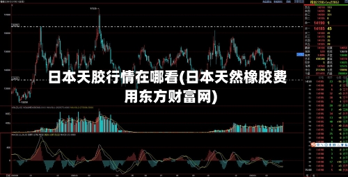 日本天胶行情在哪看(日本天然橡胶费用东方财富网)